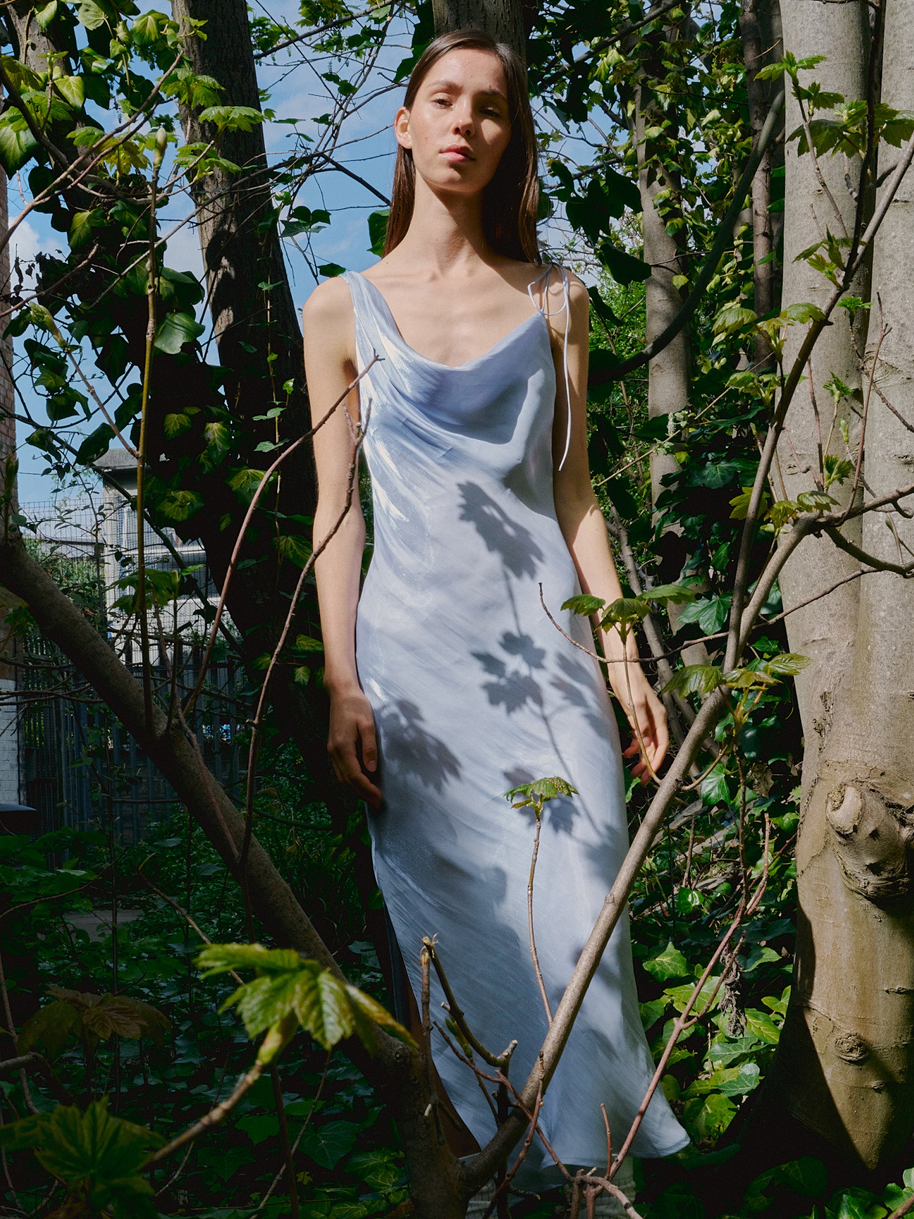 Phoebe Dress Frost