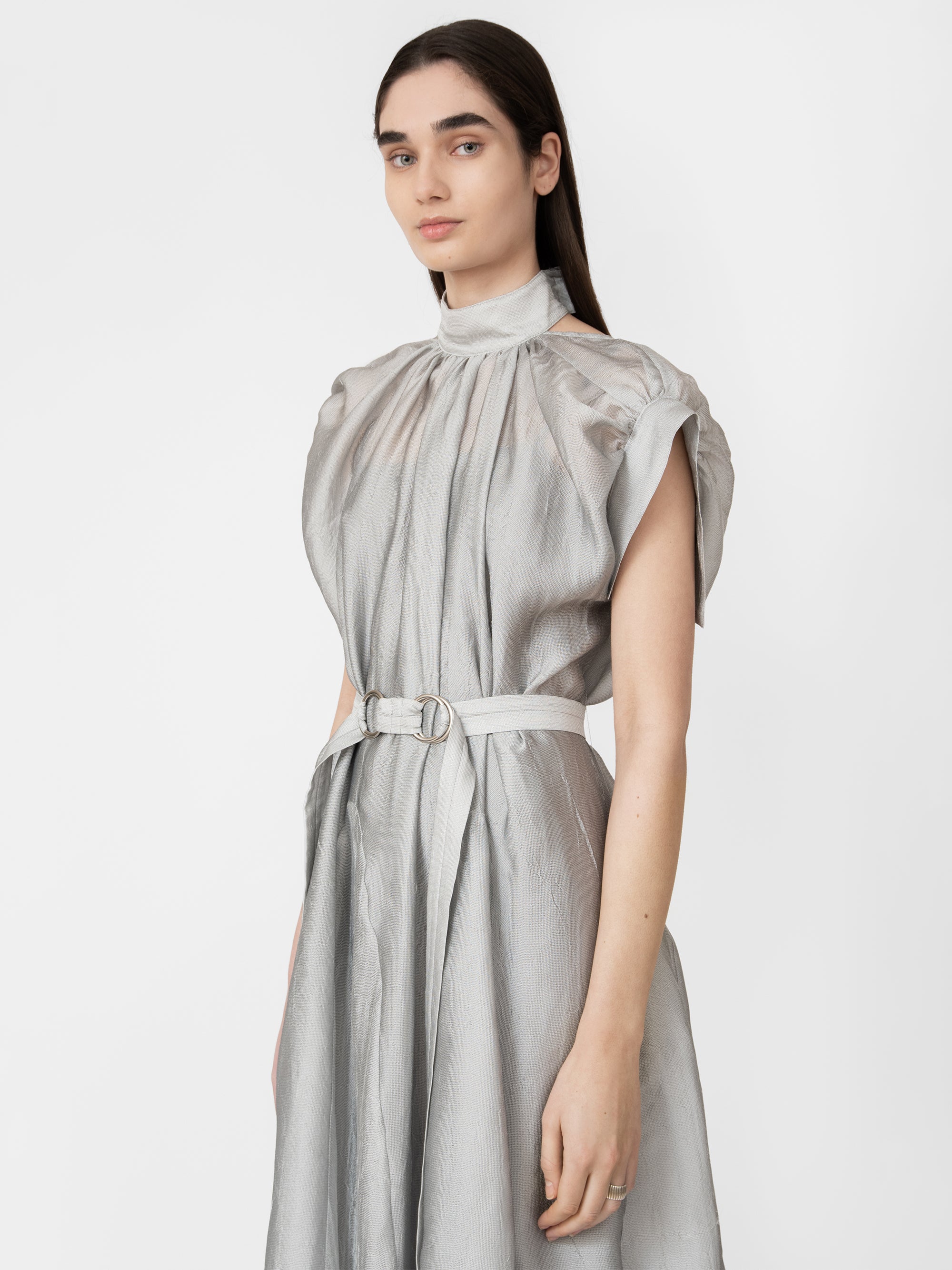 Honorine Dress Silver